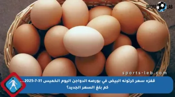 قفزة سعر كرتونة البيض في بورصة الدواجن اليوم الخميس 31-7-2025… كم بلغ السعر الجديد؟